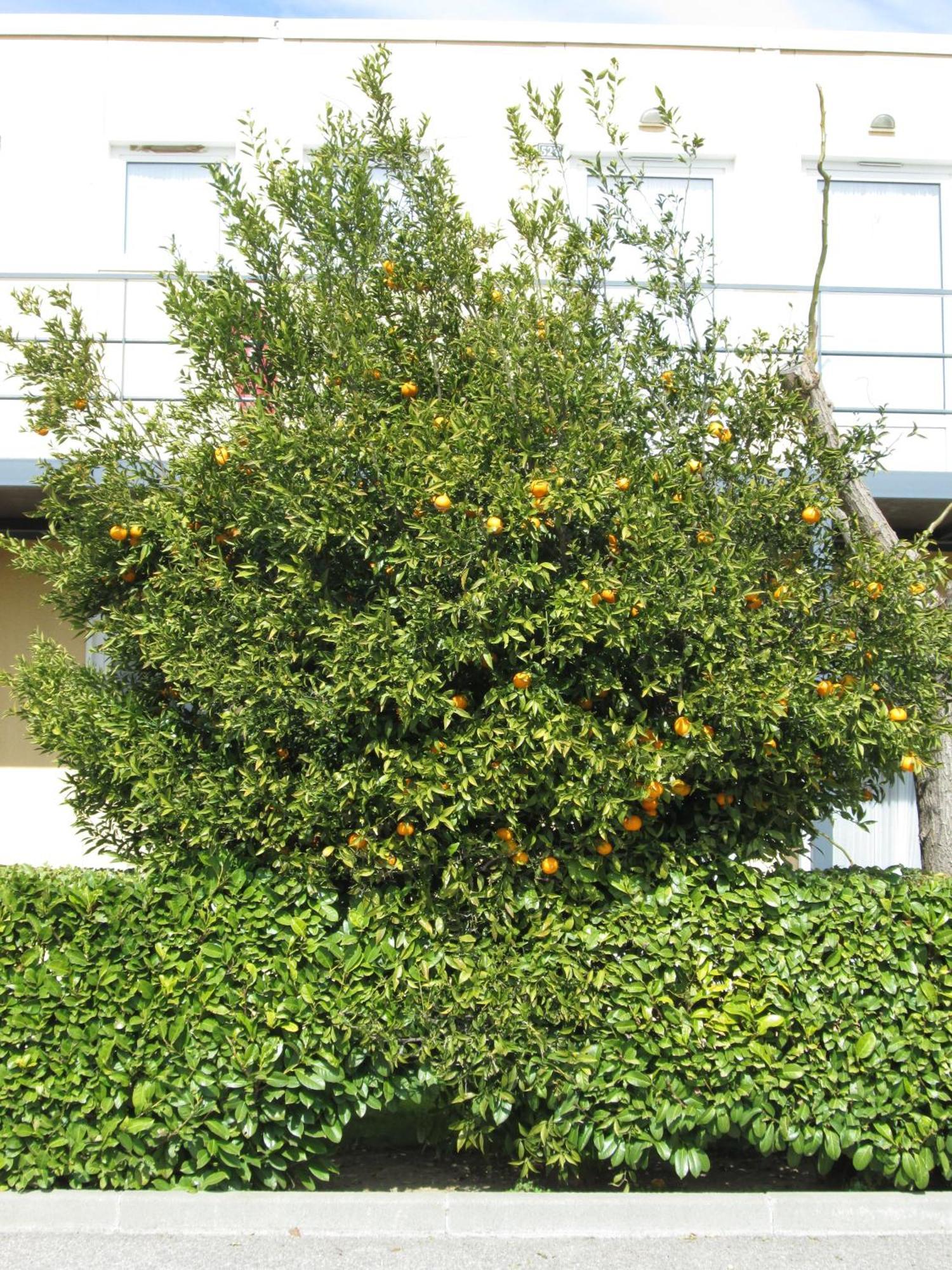 Hotel Ariane Istres Εξωτερικό φωτογραφία